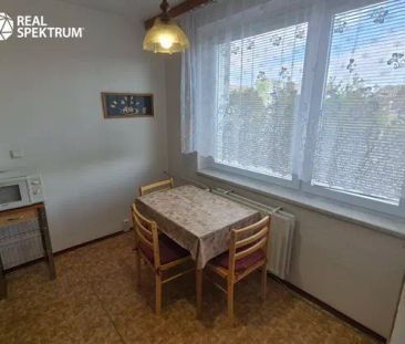 Pronájem útulného bytu 1+1, Brno - Bystrc - Fotografie 3
