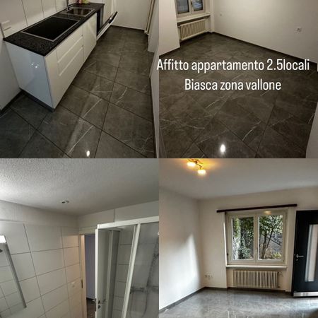 2.5 Zimmer, 55 m² - Foto 3