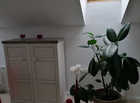 Apartament 2 camere, 70 mp, terasa, parcare, zona Europa - Photo 4