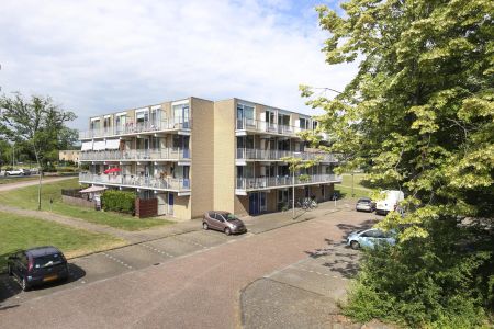 Appartement Du Meelaan 74, Zoetermeer - À Louer - Foto 2