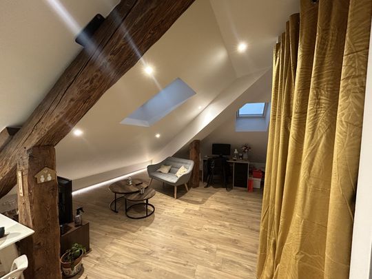 Location Appartement 1 pièce 21m² REMIREMONT 88200 - Photo 1