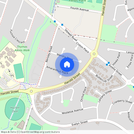 9 Amaranthus Place, NSW 2564, Macquarie Fields