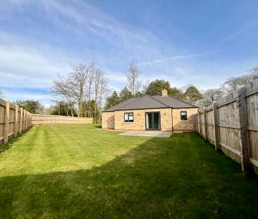 3 bedroom Detached Bungalow to let - Photo 2