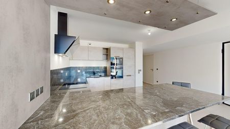 Ferney-Voltaire - Magnificent house for rent with garden - Foto 4