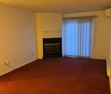 221 North Park Street #211A - Photo 2