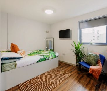 Premium Studio - Photo 4