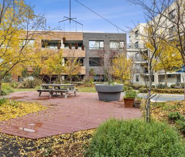 Modern Living on the Foreshore - Photo 5