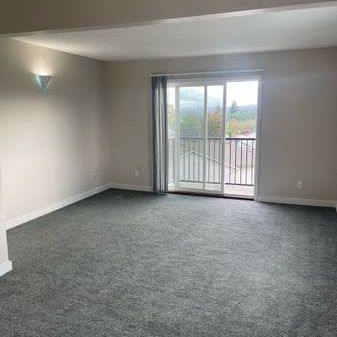 large 2 bed 1 bath - Photo 1