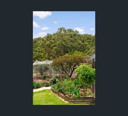 5/24 Wonoka St, Eden Hills, SA 5050 - Photo 4