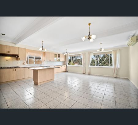 43 Chamberlain Road, Bexley, NSW 2207 - Photo 3