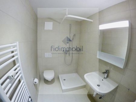 For rent, furnished studios, Parc 71, La Chaux-de-Fonds - Photo 3