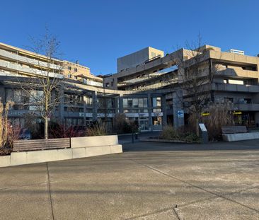 Location Appartement 1 pièce 36m² - Photo 5