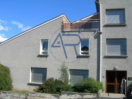 Location Appartement 1 pièce 23m² BRIOUDE 43100 - Photo 5