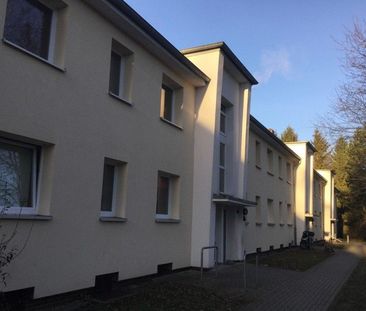 Ihr neues Zuhause in Glinde! Schicke, frisch renovierte 2-Zimmer-Wo... - Foto 1