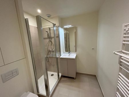 Location Appartement 1 pièce 37m² - Photo 3