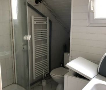 Location Appartement 1 pièce 16m² PALAISEAU 91120 - Photo 4