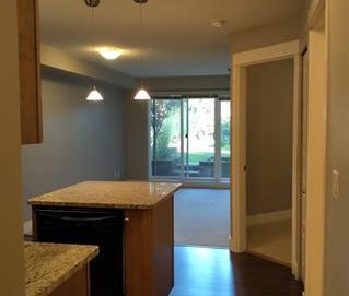 Condo Near Shops & Entertainment! - Photo 4