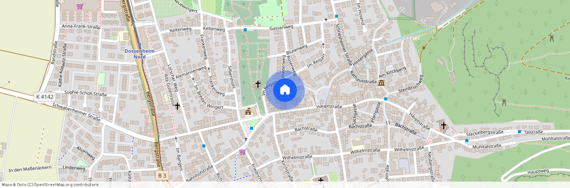 Am Kronenburger Hof 15, 69221 Dossenheim