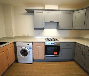 Hanson Park, Dennistoun, Glasgow, G31 - Photo 6