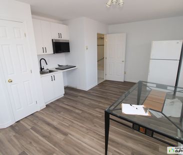 Studio-20, rue Saint-Jean, St-Jean-Baptiste à louer - Photo 2