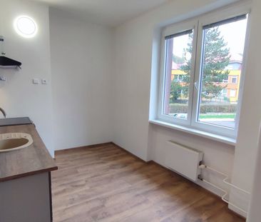 Pronájem bytu 3+1 v osobním vlastnictví 66 m², Ústí nad Labem - Photo 1