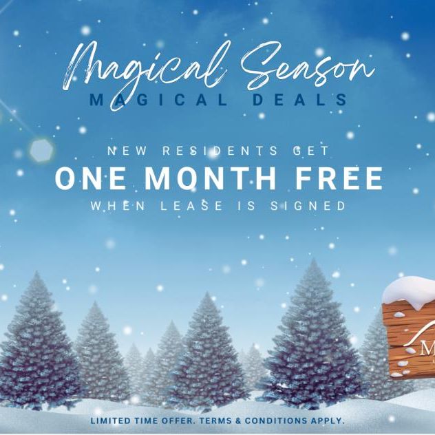 The Lauren - Photo 1