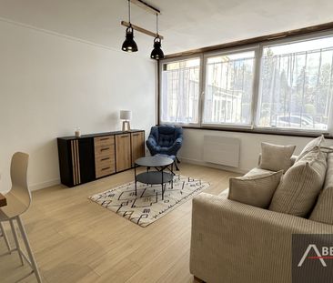 Location Appartement 1 pièce 30m² REMIREMONT 88200 - Photo 3