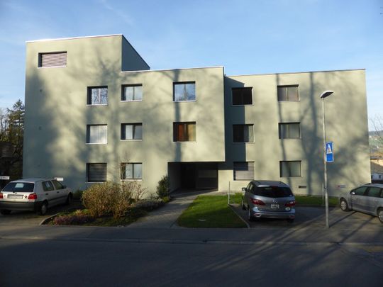 Junkerstrasse 11, CH-6280, Hochdorf, Hochdorf, - Photo 1