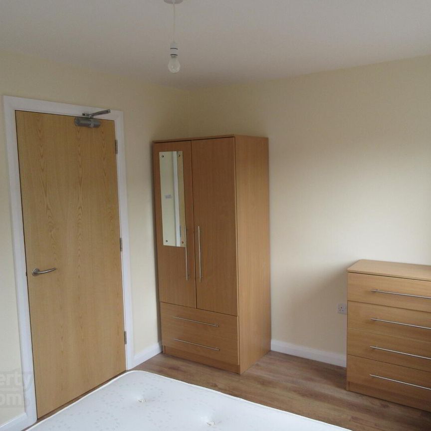 Great Apartment, 101a Rugby Avenue, Queens University Quarter, Belfast - Photo 1