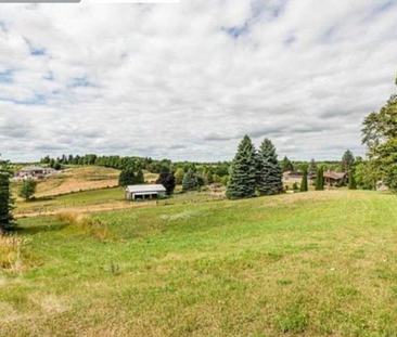 For Lease - 16804 Centreville Creek Road, Caledon, Ontario - Photo 5