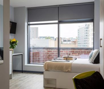 Gold Studio - Photo 6