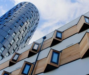 Annex Platinum Plus - Photo 4