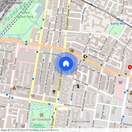 546 Elizabeth Street, NSW 2016, Redfern