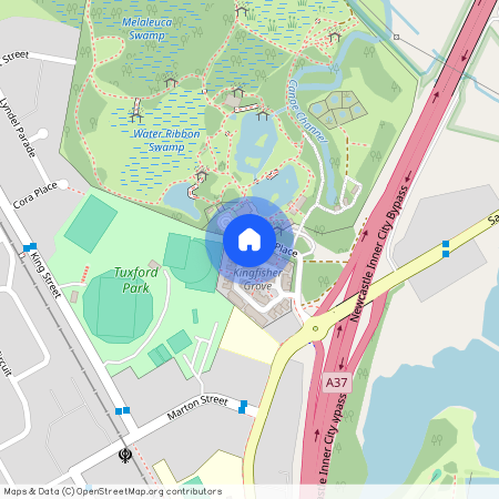 33 Kestrel Cct, NSW 2307, Shortland