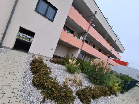 2 Zim­mer-Woh­nung mit gro­ßem Bal­kon mit Kaufoption 3_25 - Photo 5