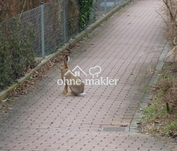 Innenhof-22qm-Dachterr.40Mtr zu U3-Maxfeld+FBH+"Wi.garten" ohne Str... - Photo 4
