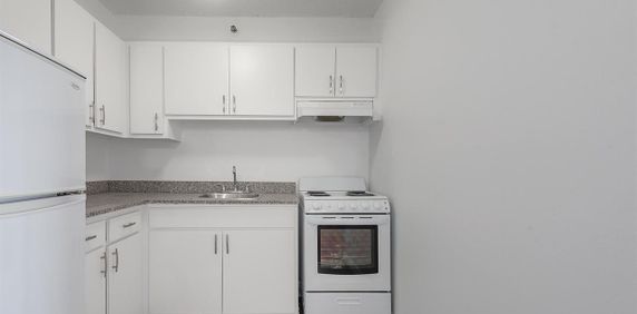 Le 10205 L803 - Photo 2