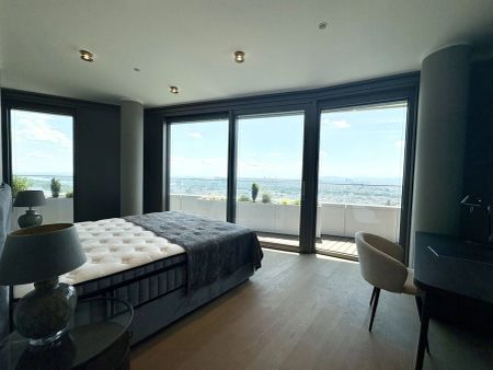 TOP-möbliertes Apartment mit Rundumblick & Goodies (Gym, Pool, Spa, Lounges, Doorman): Neubau-Erstbezug Neue Donau - Photo 4