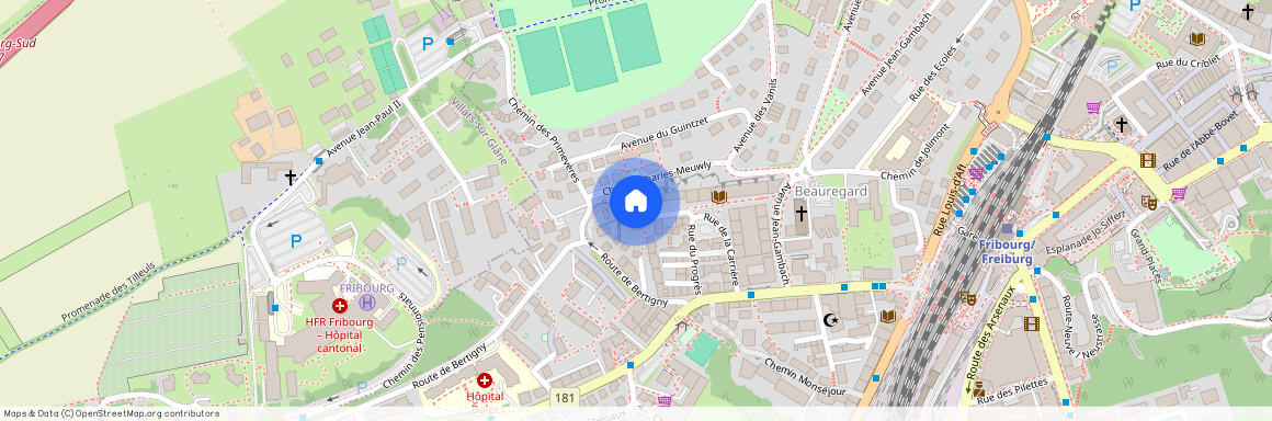 Rue de la Carrière 32, 1700, Fribourg