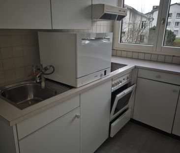 3 Zimmer, EG - Photo 2