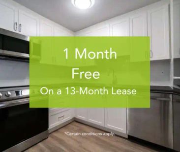 33331 & 33095 Old Yale Road | 33331 & 33095 Old Yale Road, Abbotsford - Photo 1