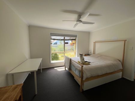 Maslin Beach - Photo 5