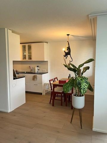 moderne 2,5 Zi Wohnung in Tägerwilen - Photo 3