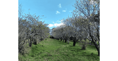 FOR LEASE FROM $400 PW - Photo 3