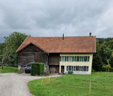 Charming 2.5 room apartment on the ground floor for rent - Photo 5