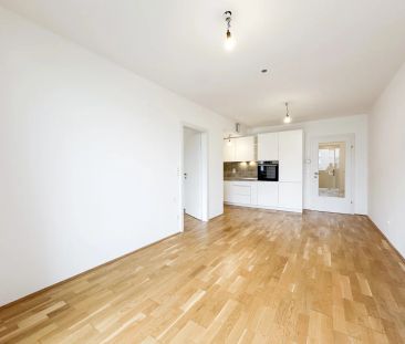 Traumhafte 2-Zimmer-Wohnung mit Balkon und Gemeinschafts-Dachterrasse - Photo 1