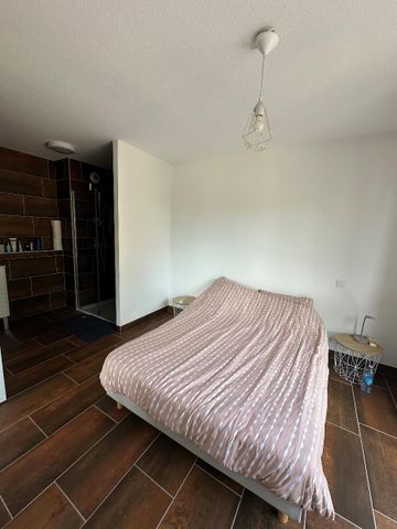 Location Appartement 2 pièces 40m² ALBI 81000 - Photo 3