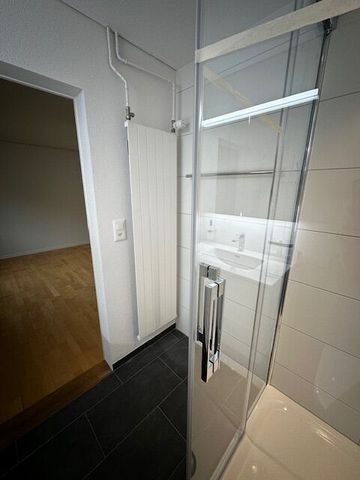 Excellent 2-room apartment in St. Gallen, canton SG - Foto 4