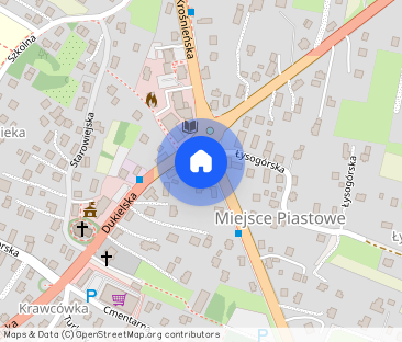 Do wynajęcia mieszkanie w Miejscu Piastowym - Zdjęcie 1