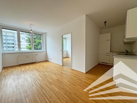 Ideal aufgeteilte 2 Zimmerwohnung mit Küche - Nähe Landstraße - Photo 3